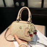 Chic Square Handbags For Women - Image 2